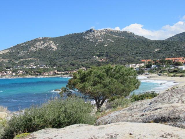 T2 Renove 100M Plage Avec Spa Privatif Entre Calvi Et Ile Rousse 卢米奥 外观 照片
